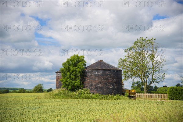 View of corrugated iron grain bins and Wheat