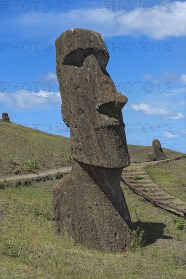 Moai in Rano Raraku