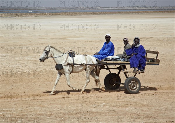 Senegalese men riding 'charette' horse pulled taxi