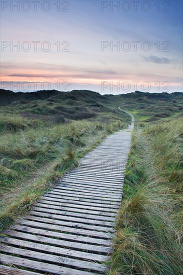 Beach walk through vegetated coastal sand dunes at sunset