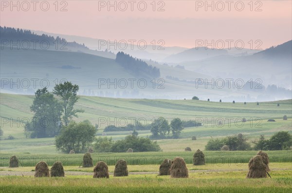 Hay ricks in montane meadow at sunset