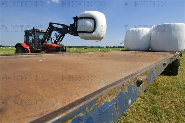 Plastic wrapped round silage bales stacked on trailer with mechanical loader