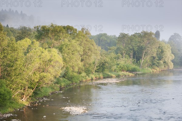 View of river and forest at sunrise