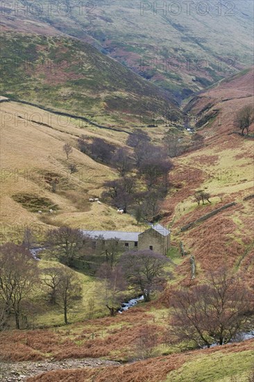 Moorland valley with stream