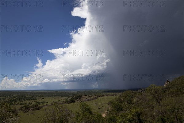 Approaching thunderstorm over savannah habitat