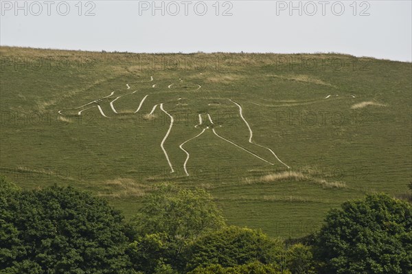 Cerne Abbas Giant chalk hill figure