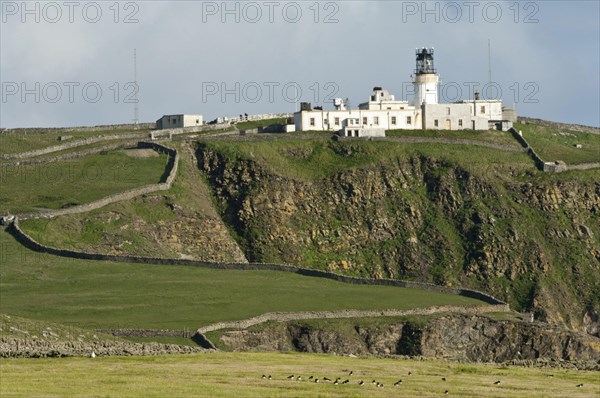 View of cliff pasture and distant lighthouse