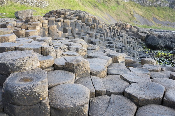 Giants Causeway