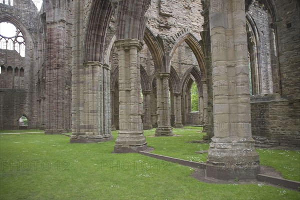 Columns in Cistercian abbey ruins