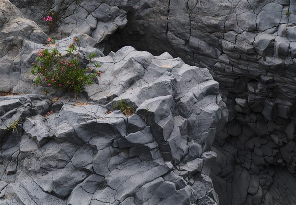 Lava rock in the river park Gole dell' Alcantara