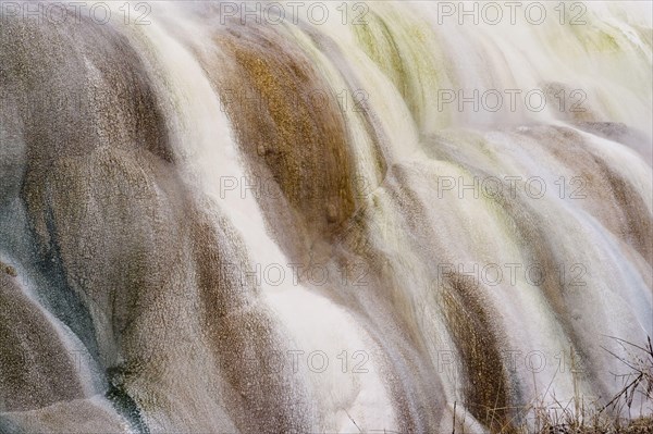 Thermophilic microorganisms grow in the warm flowing geothermal water of the hot springs of Mammouth yellowstone national park usa