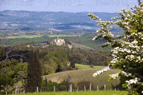 Tuscany with mediterranean cypress