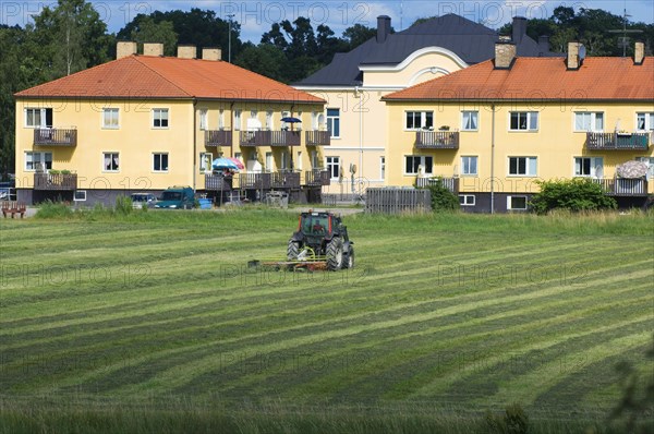 Haymaking