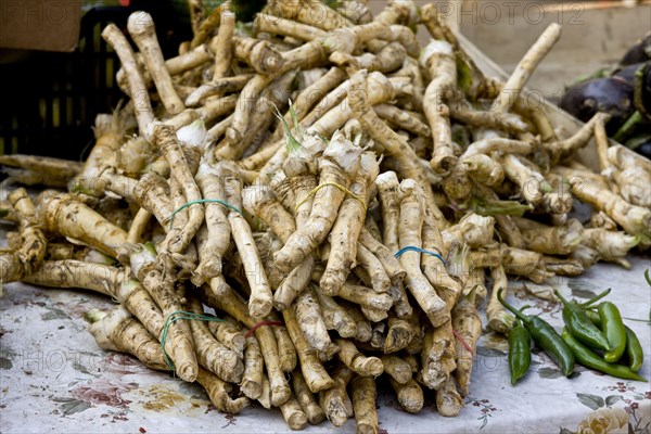 Horseradish