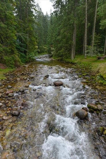 Mountain stream