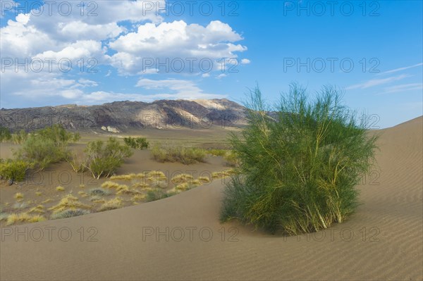 Singing Dunes