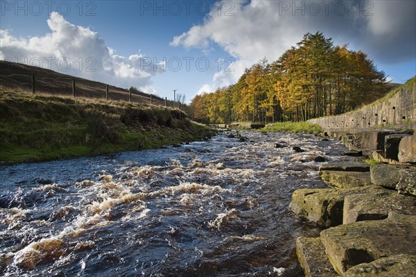 Fast-flowing river habitat