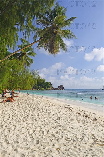 Dream beach Anse Kerlan