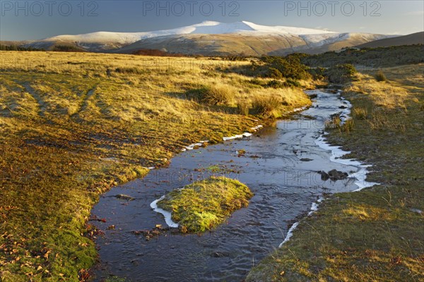 View of stream in Highland Common