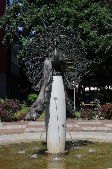 Peacock Fountain