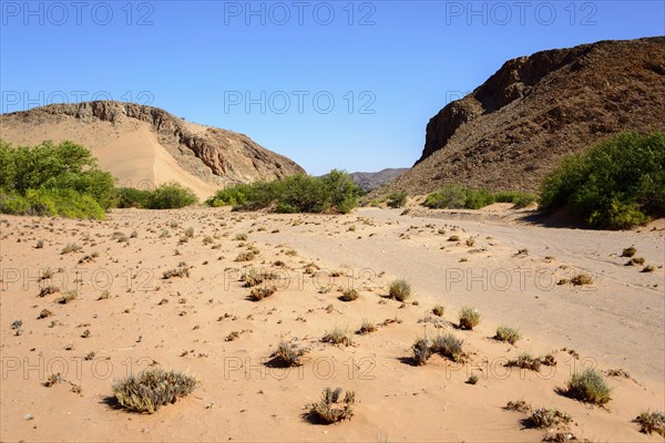 Landscape at the Huab River