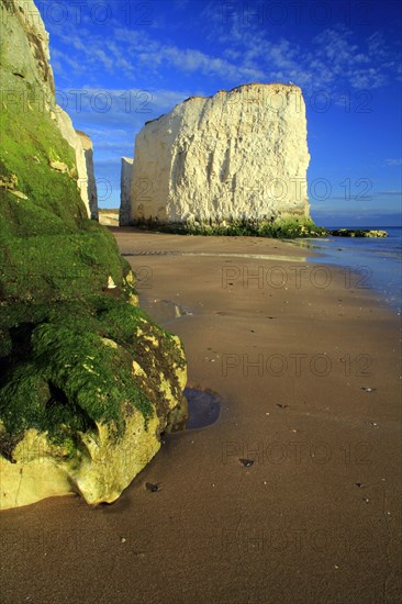 View of sandy beach and chalk pile in the sea