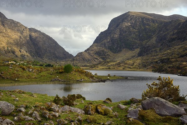 Black Lake