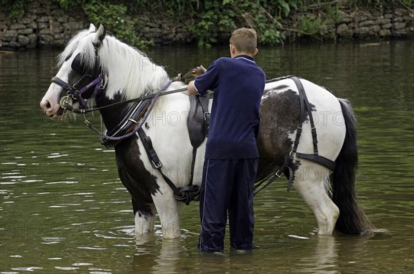 Washing horses in the river