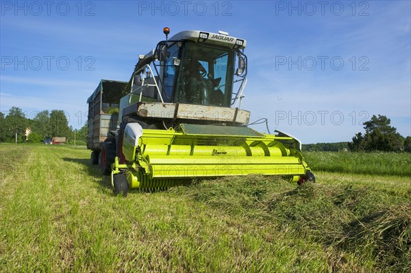 Claas Jaguar 850 forage harvester