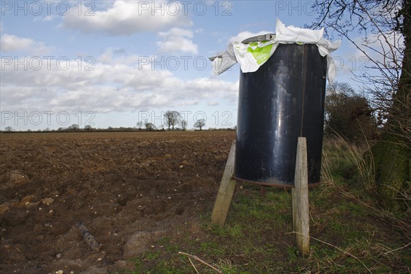 Gamebird feeder in hedgerow at edge of arable farmland