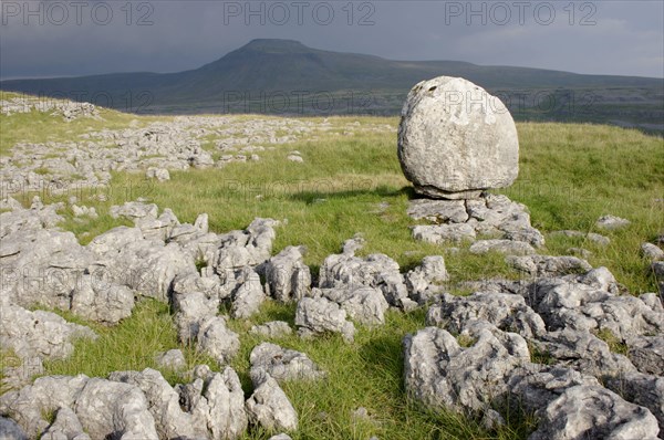 View of limestone pavement and erratic rock