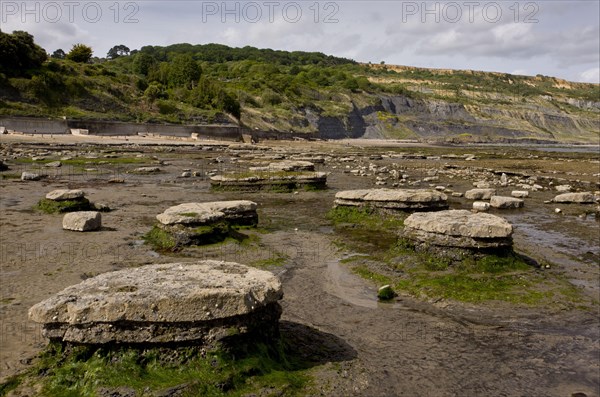 View of rock ledges exposed on beach at low tide
