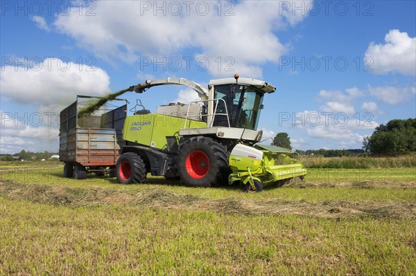 Silage harvesting