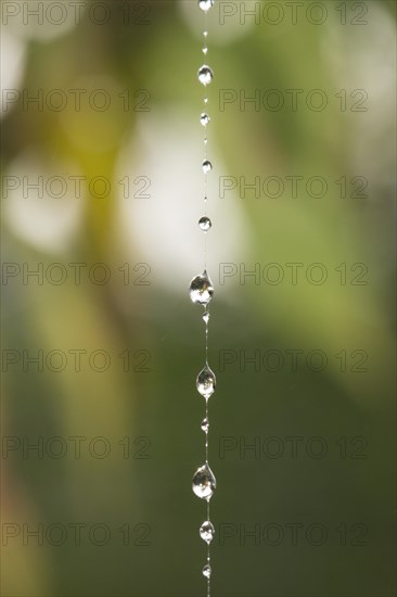 Water drop chain on spinning thread