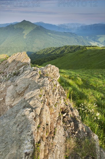 Rock formation and montane meadow habitat in evening sunlight