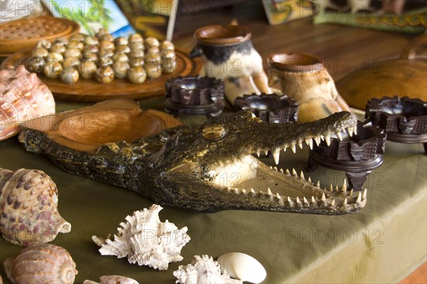 Crocodile head as ashtray