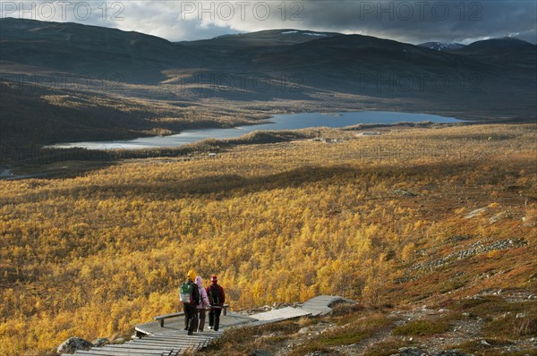 Walkers on boardwalk leading to summit of fell