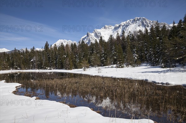 Winter landscape