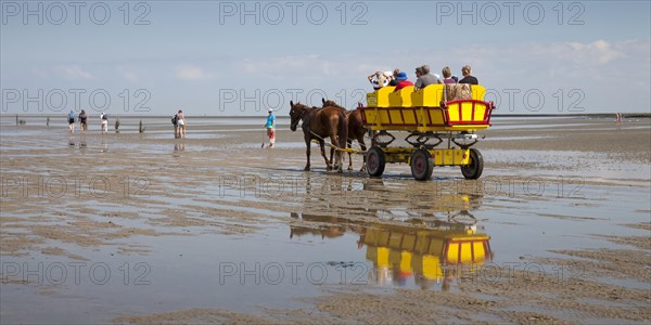 Horse-drawn carriage on the mudflats