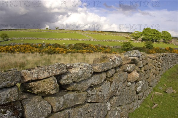 Dry stone walls and pastures in the fertile valley