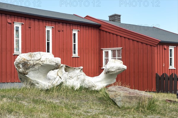 Colourfully painted wooden houses with whale bones in the foreground