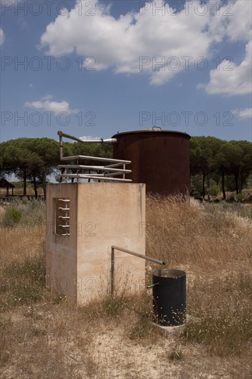 A distillation for the extraction of eucalyptus oil. The leaves were placed in the cauldron