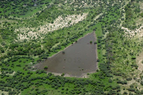 Aerial view of a pool in a wetland habitat