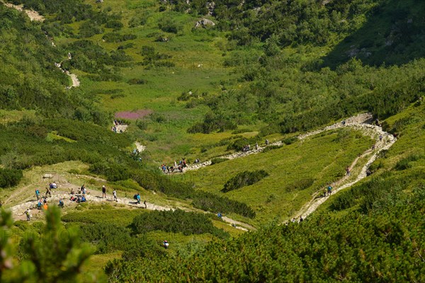 Polana Kondratowa Mountain Valley