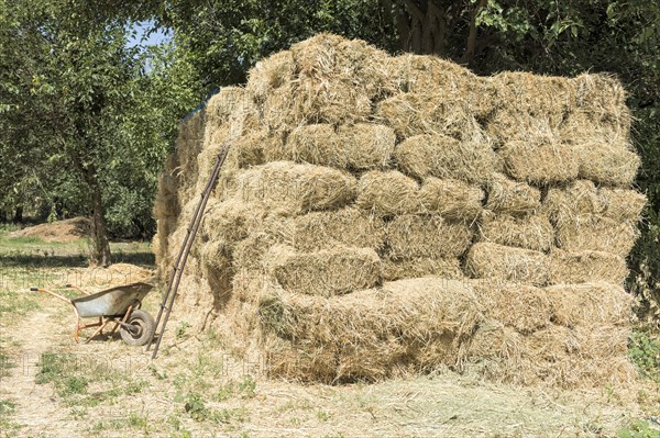 Ladder in front of a haystack