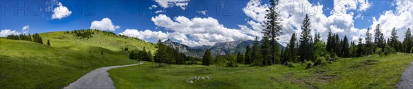 Postalm in the Salzkammergut