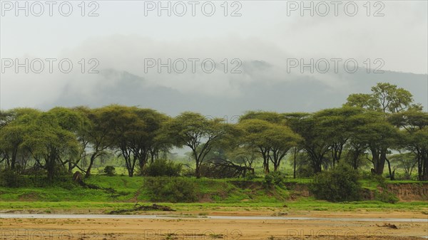 View of dry riverbed