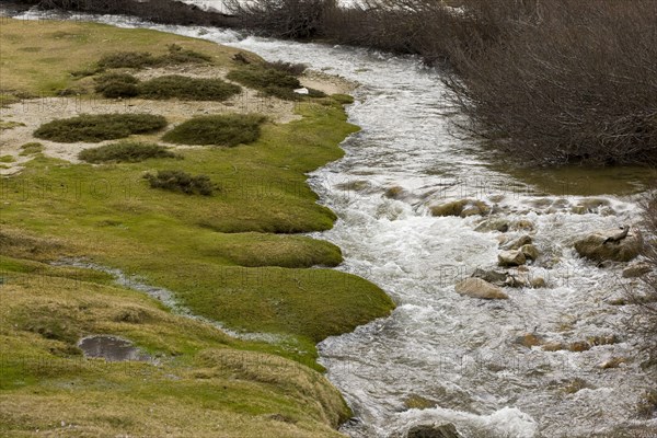 River in spate flowing through high pasture