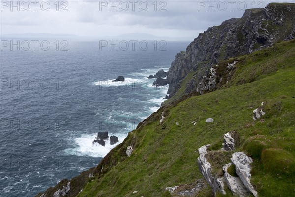 Bray Head