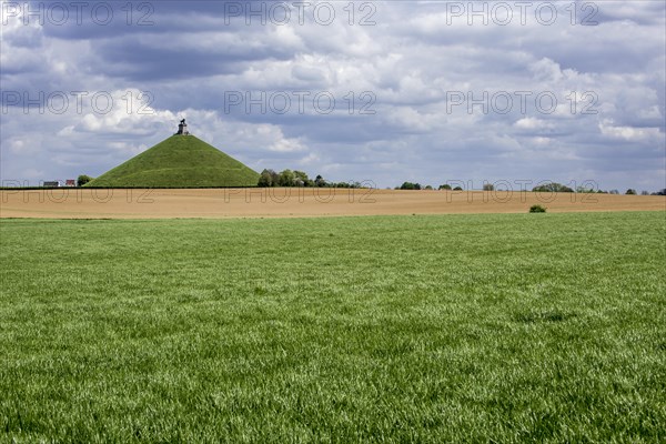 The Lion's Mound